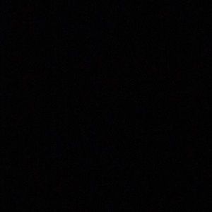 Meet your Posher, Natasha